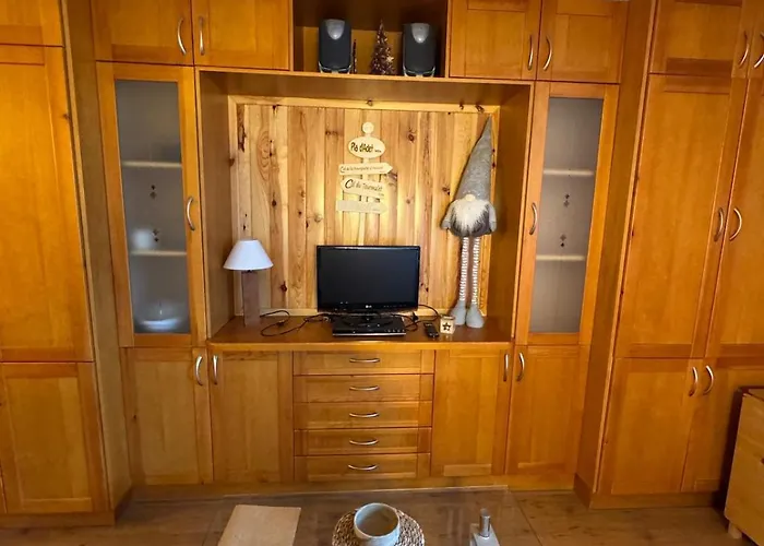 Appartement Armazan Bois *